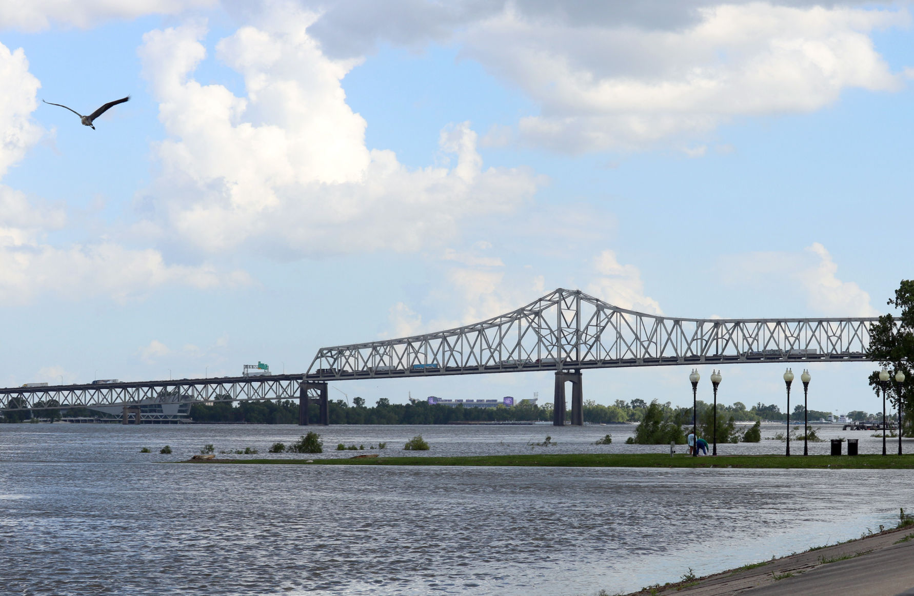 Mississippi River flood